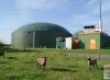Foto: Heike Benkmann<br>Biogasanlage Götzberg