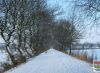 Foto: Heike Benkmann<br>Winterimpression - Korl-Barmstedt-Weg