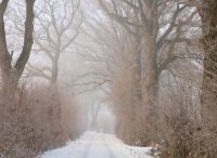 Foto: Thomas Lendt<br>Januar 2026 beginnt kalt und weiß