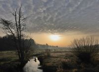 Foto: Thomas Lendt<br>Oberalsterniederung - Der Winter scheint zu Ende ...