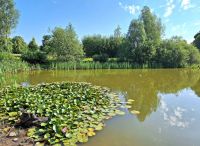 Foto: Heike Benkmann<br>Blühender Bürgerpark im Sommer 2026