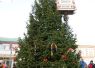 Foto: Heike Benkmann<br>Die WHU hat zusammen mit Kindern der Kita Bürgerhaus und der Grundschule Ulzburg den Weihnachtsbaum am Marktplatz geschmückt