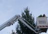 Foto: Heike Benkmann<br>Die WHU hat zusammen mit Kindern der Kita Bürgerhaus und der Grundschule Ulzburg den Weihnachtsbaum am Marktplatz geschmückt