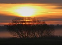 Foto: Thomas Lendt<br>Sonnenaufgang in der Oberalsterniederung