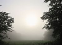 Foto: Thomas Lendt<br>Sommer-Sonne-Nebel-Morgen an der Verlängerung vom Bahnbogen