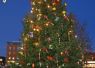 Foto: Heike Benkmann<br>Die WHU hat zusammen mit Kindern der Kita Bürgerhaus und der Grundschule Ulzburg den Weihnachtsbaum am Marktplatz geschmückt