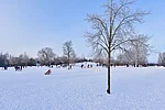Rodelberg im Bürgerpark
