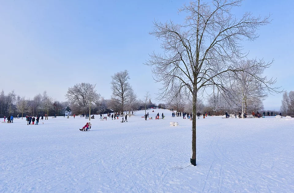 Rodelberg im Bürgerpark