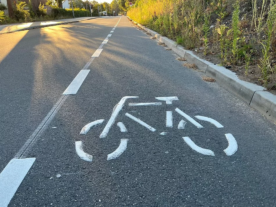 Foto des Radweges mit einem Fahrradpiktogramm.
