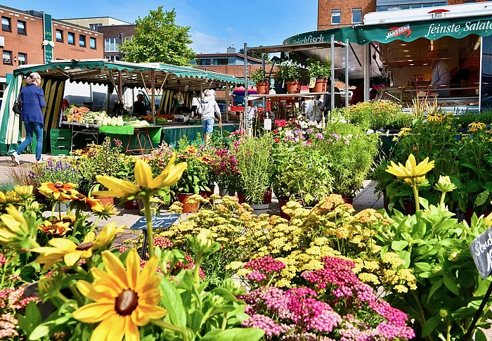 Blick auf den Wochenmarkt Ulzburg mit Blumen im Vordergrund