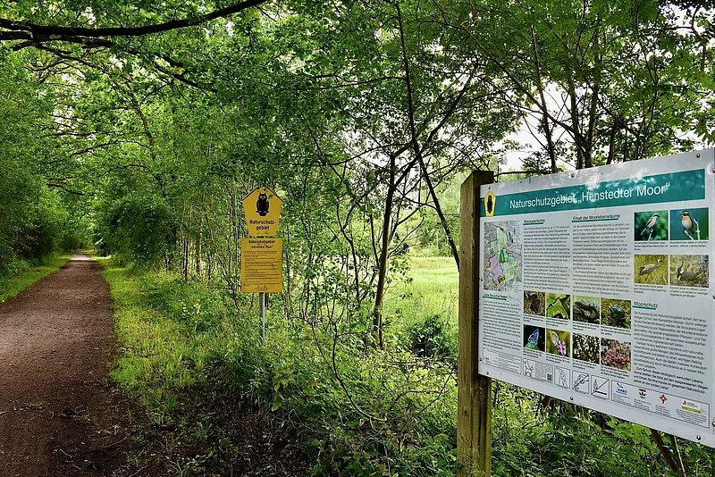 Ökologisch wertvolle Gebiete – wie das Naturschutzgebiet Henstedter Moor – werden geschützt. 