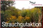 Strauchgutaktion