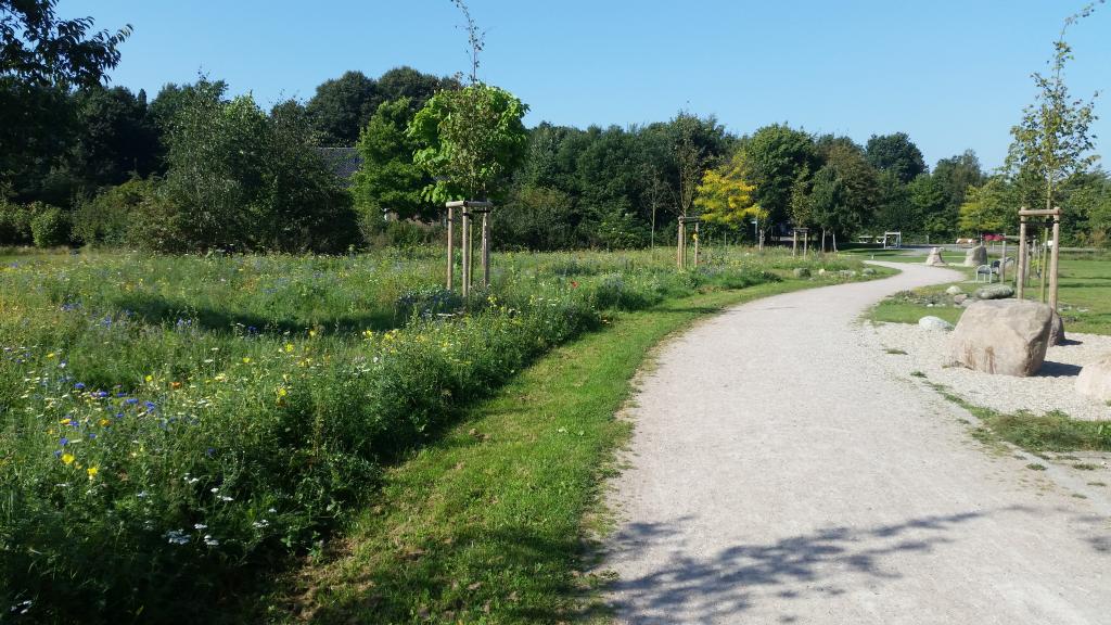 Bienenprojekt „Henstedt-Ulzburg blüht auf“