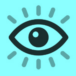Vision
