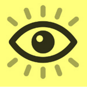 Vision