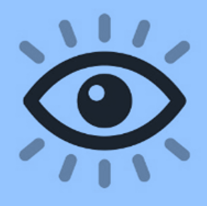 Vision