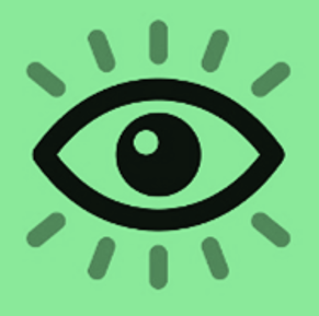 Vision
