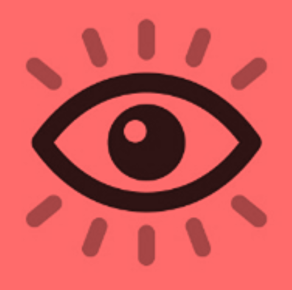 Vision