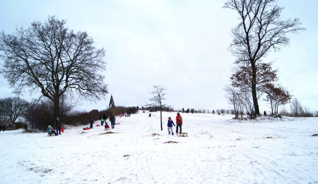 Rodelberg im Bürgerpark